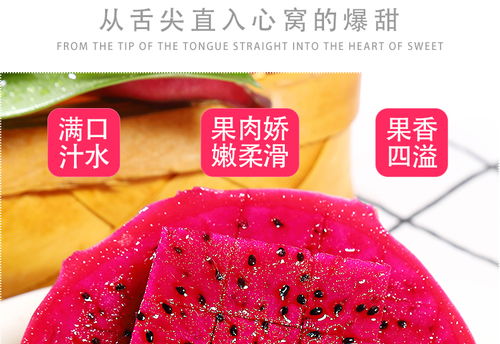 金都一號(hào)蜜寶紅心火龍果 現(xiàn)摘新鮮，甜蜜直達(dá)