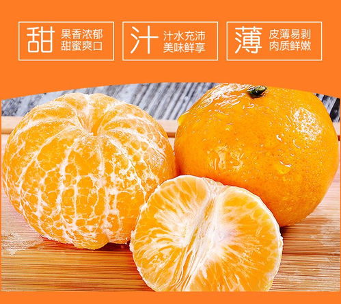 武鳴沃柑 新鮮應(yīng)季的甜蜜之選，打造健康果盤新風(fēng)尚